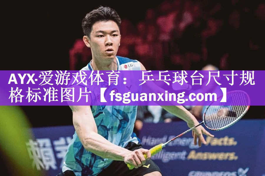 <strong>AYX·爱游戏体育：乒乓球台尺寸规格标准图片</strong>